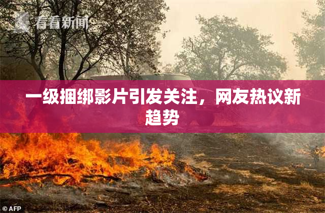 一级捆绑影片引发关注，网友热议新趋势
