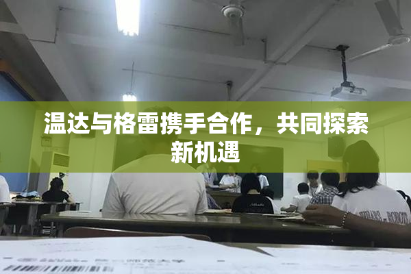 温达与格雷携手合作，共同探索新机遇