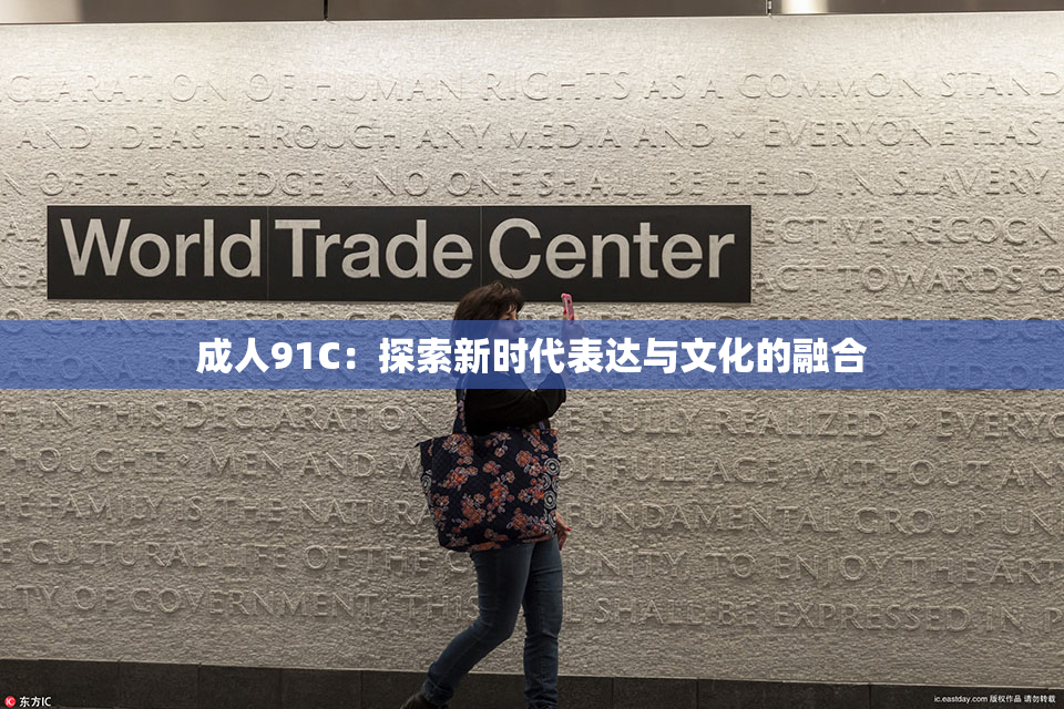 成人91C：探索新时代表达与文化的融合