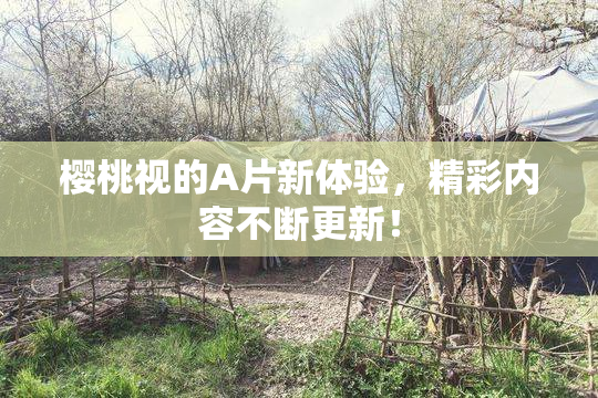 樱桃视的A片新体验，精彩内容不断更新！