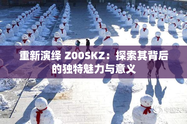 重新演绎 Z00SKZ：探索其背后的独特魅力与意义