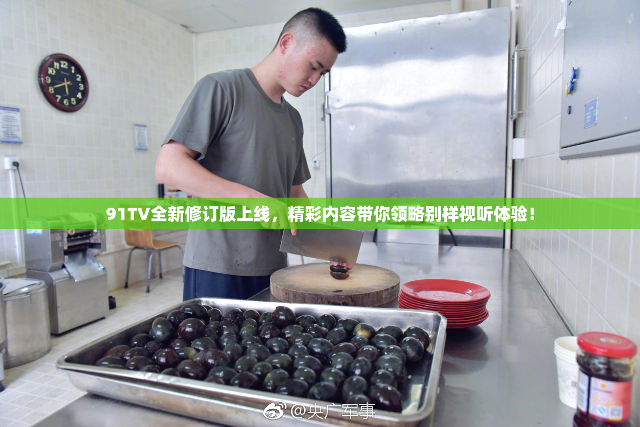 91TV全新修订版上线，精彩内容带你领略别样视听体验！