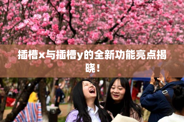 插槽x与插槽y的全新功能亮点揭晓！