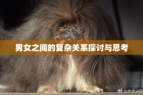 男女之间的复杂关系探讨与思考