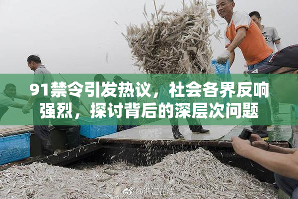 91禁令引发热议，社会各界反响强烈，探讨背后的深层次问题