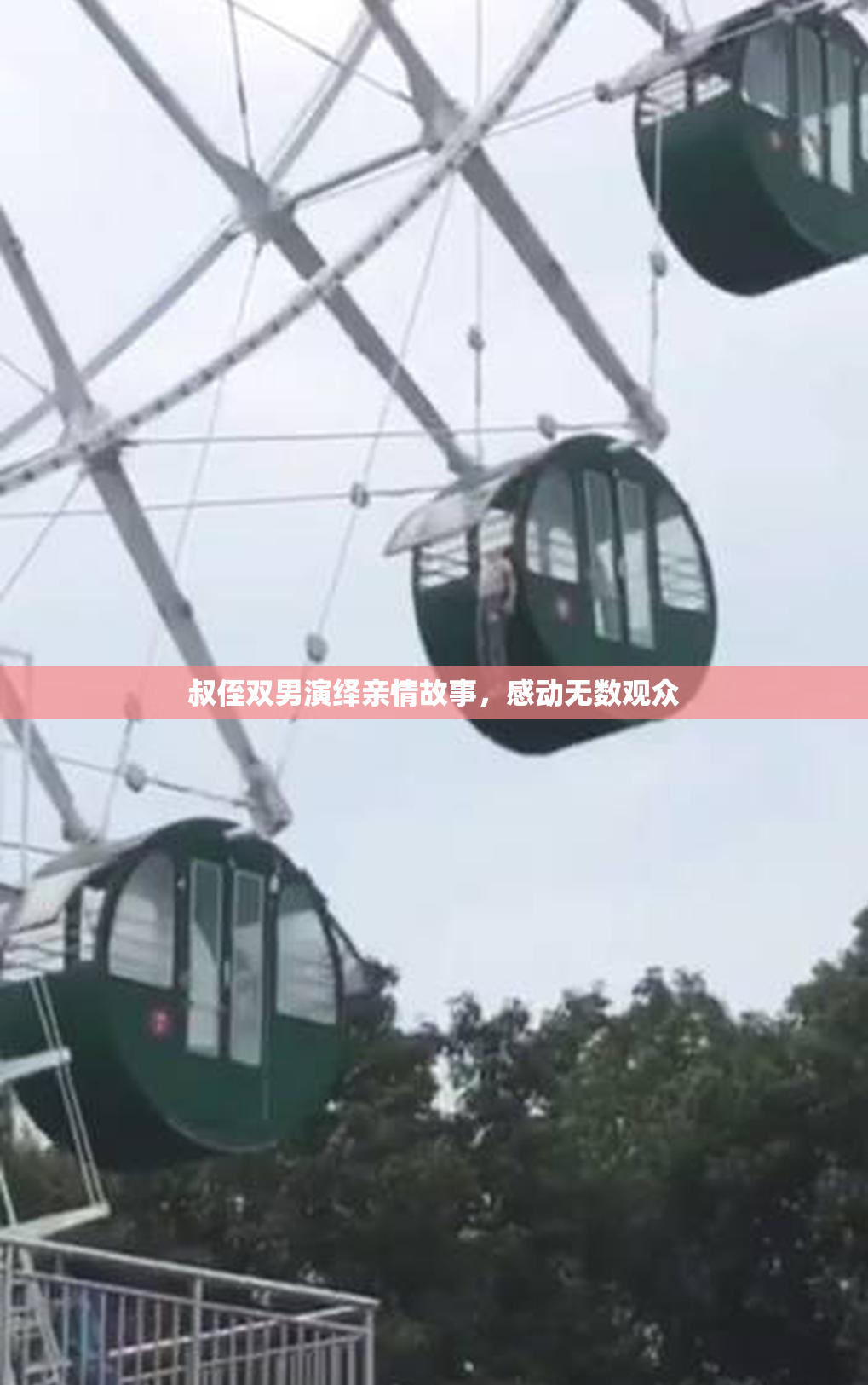 叔侄双男演绎亲情故事，感动无数观众