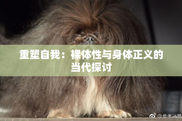 重塑自我：裸体性与身体正义的当代探讨