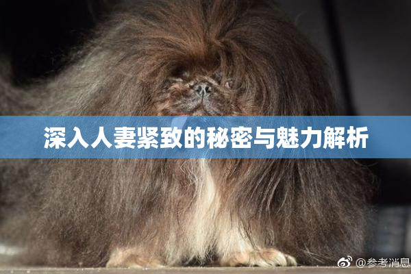 深入人妻紧致的秘密与魅力解析