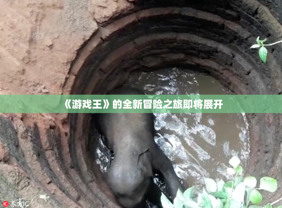 《游戏王》的全新冒险之旅即将展开