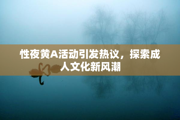 性夜黄A活动引发热议，探索成人文化新风潮