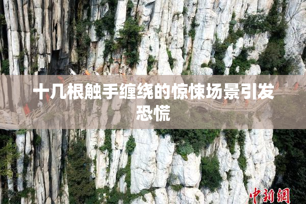 十几根触手缠绕的惊悚场景引发恐慌