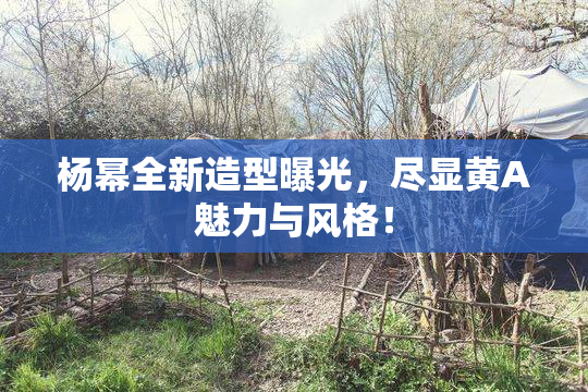杨幂全新造型曝光，尽显黄A魅力与风格！