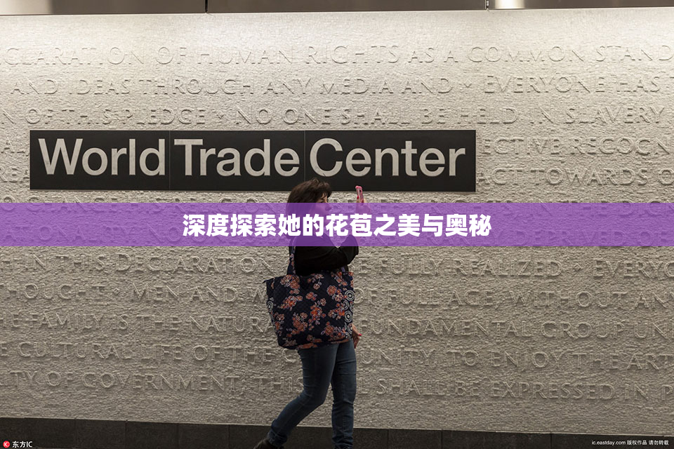 深度探索她的花苞之美与奥秘