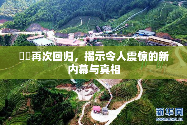 妺妺再次回归，揭示令人震惊的新内幕与真相