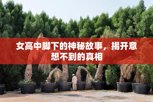 女高中脚下的神秘故事，揭开意想不到的真相