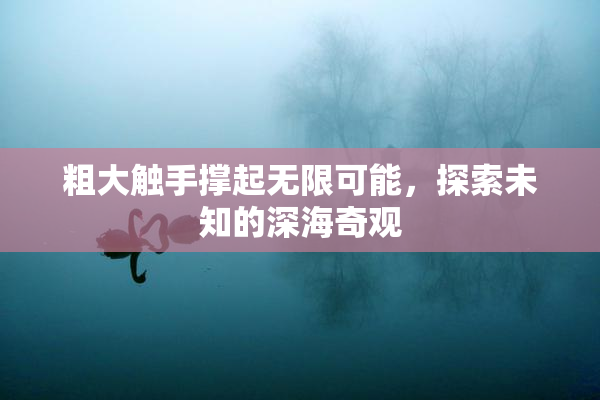 粗大触手撑起无限可能，探索未知的深海奇观