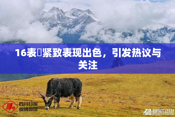 16表妺紧致表现出色，引发热议与关注