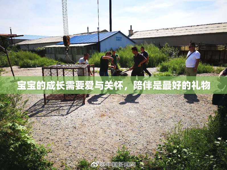 宝宝的成长需要爱与关怀，陪伴是最好的礼物