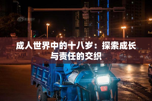 成人世界中的十八岁：探索成长与责任的交织