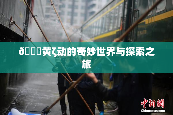 🔞黄ζ动的奇妙世界与探索之旅