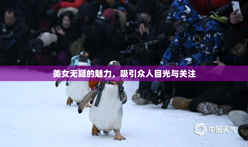 美女无疑的魅力，吸引众人目光与关注