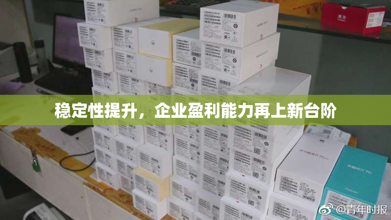 稳定性提升，企业盈利能力再上新台阶