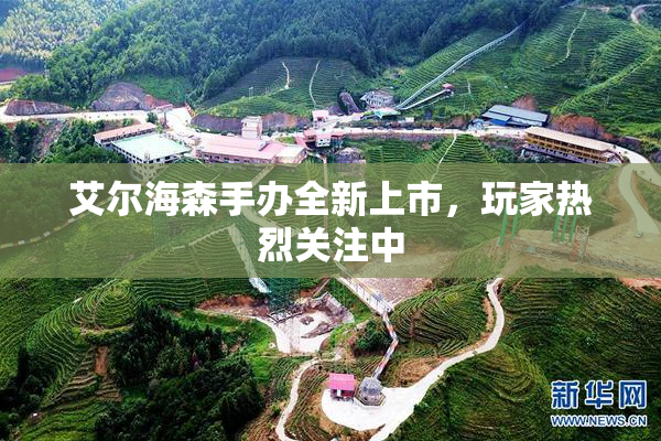 艾尔海森手办全新上市，玩家热烈关注中