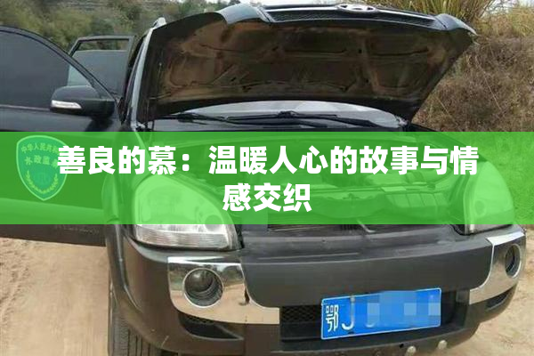 善良的慕：温暖人心的故事与情感交织