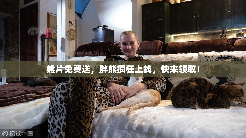 熊片免费送，胖熊疯狂上线，快来领取！