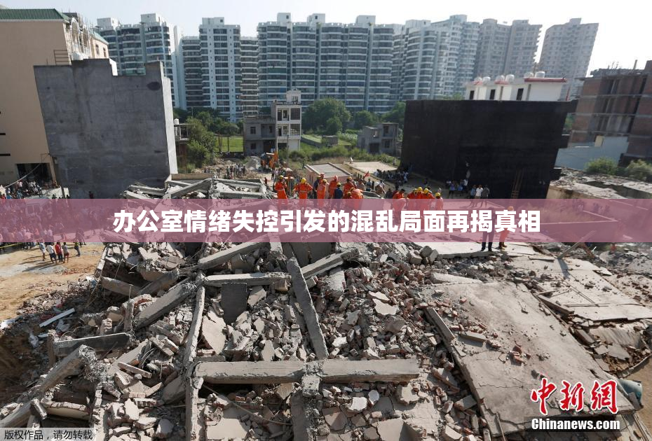 办公室情绪失控引发的混乱局面再揭真相