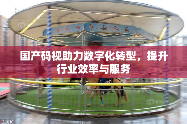国产码视助力数字化转型，提升行业效率与服务