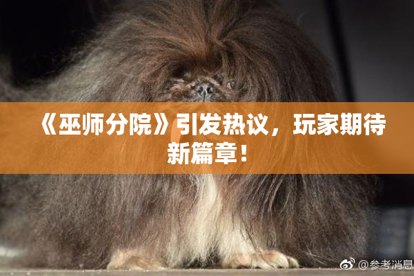 《巫师分院》引发热议，玩家期待新篇章！