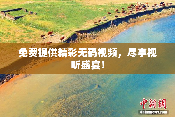 免费提供精彩无码视频，尽享视听盛宴！