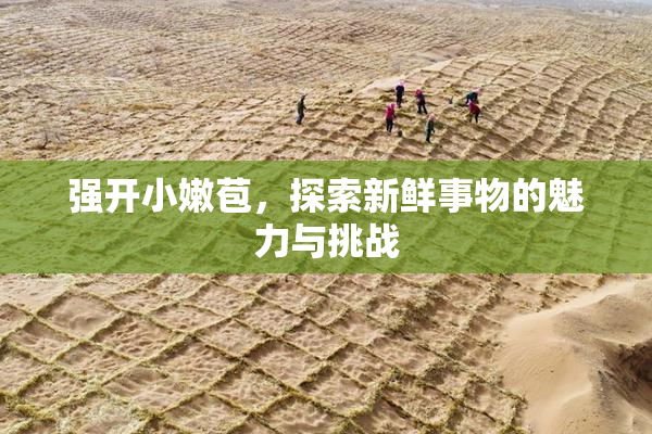 强开小嫩苞，探索新鲜事物的魅力与挑战