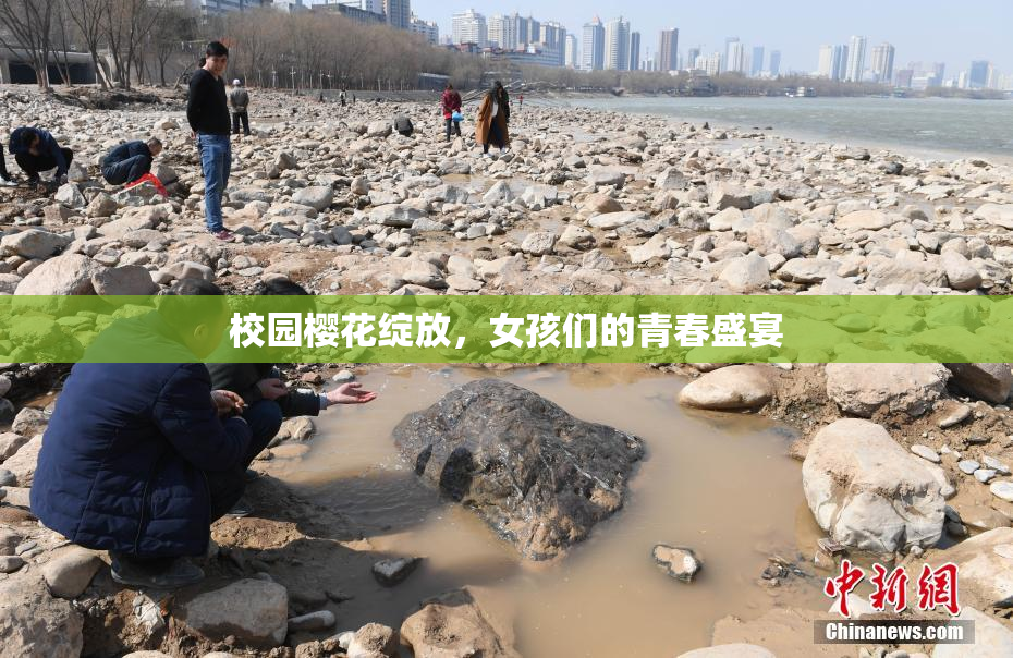 校园樱花绽放，女孩们的青春盛宴