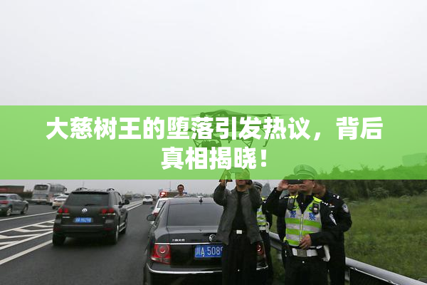 大慈树王的堕落引发热议，背后真相揭晓！