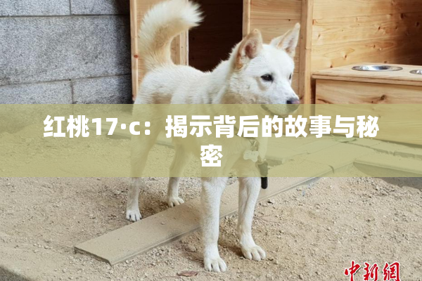 红桃17·c：揭示背后的故事与秘密