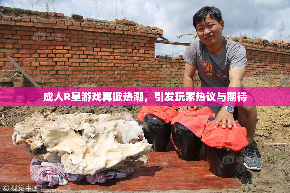 成人R星游戏再掀热潮，引发玩家热议与期待