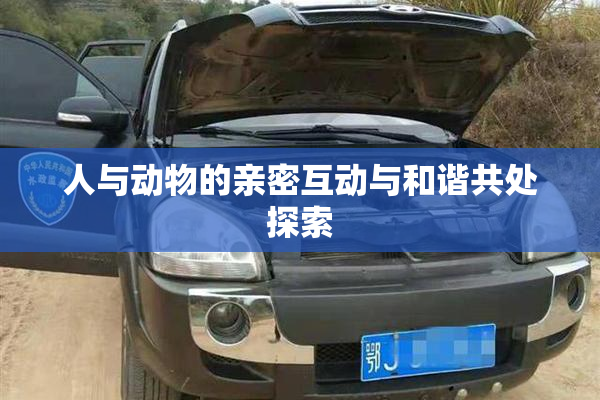 人与动物的亲密互动与和谐共处探索