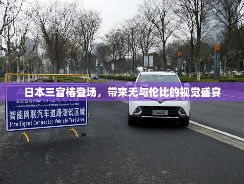 日本三宫椿登场，带来无与伦比的视觉盛宴