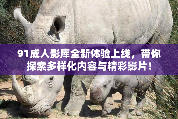 91成人影库全新体验上线，带你探索多样化内容与精彩影片！
