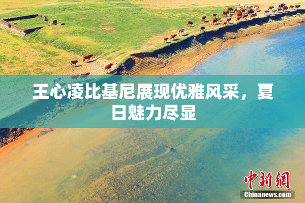 王心凌比基尼展现优雅风采，夏日魅力尽显