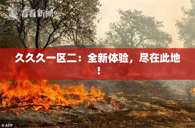 久久久一区二：全新体验，尽在此地！