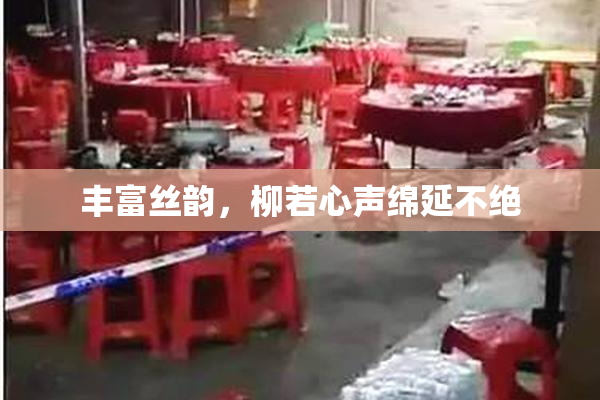丰富丝韵，柳若心声绵延不绝