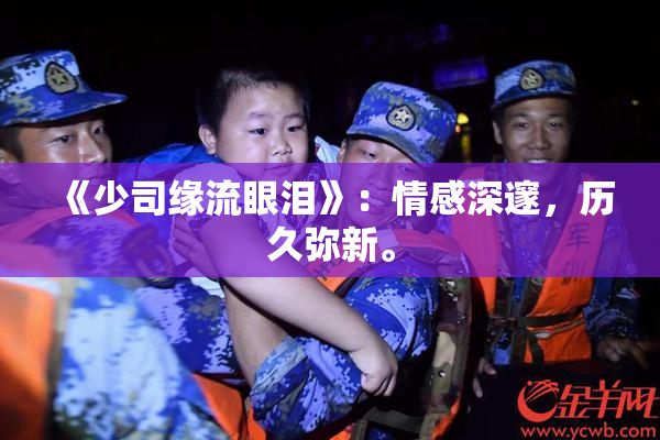 《少司缘流眼泪》：情感深邃，历久弥新。