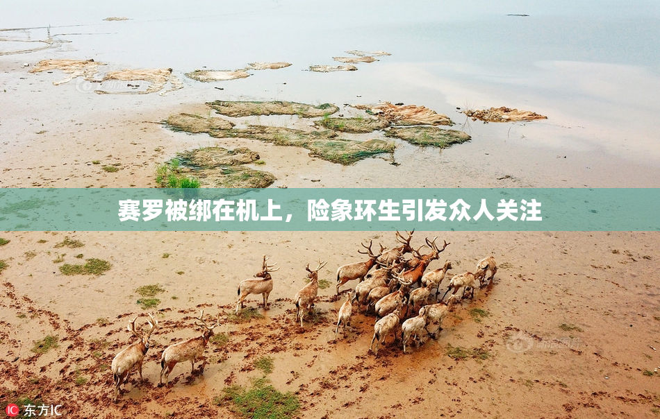 赛罗被绑在机上，险象环生引发众人关注