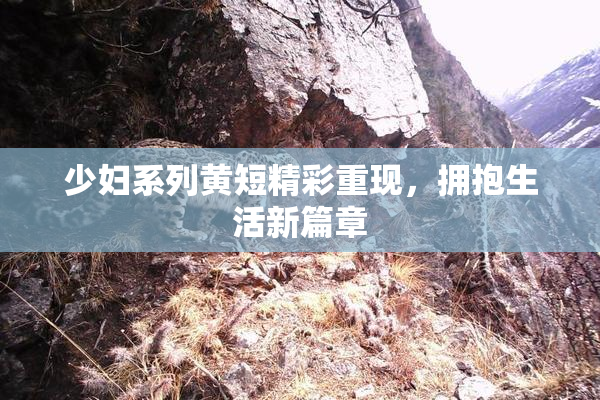 少妇系列黄短精彩重现，拥抱生活新篇章
