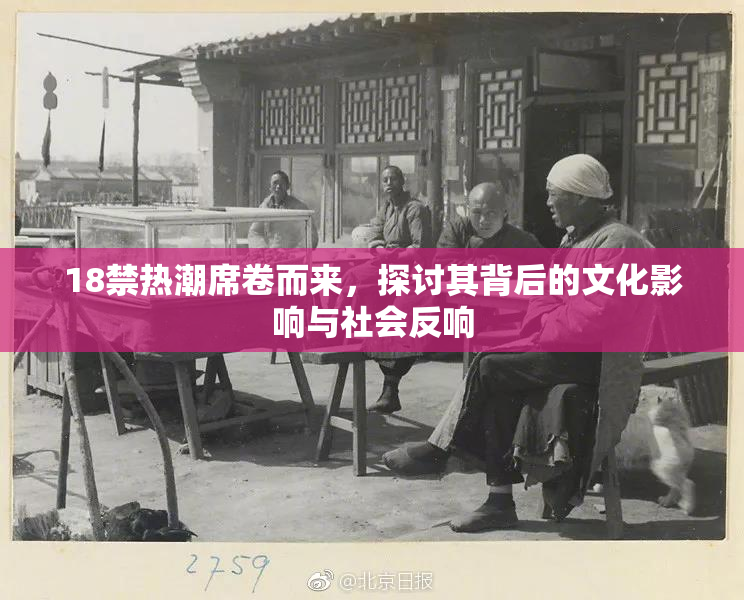 18禁热潮席卷而来，探讨其背后的文化影响与社会反响