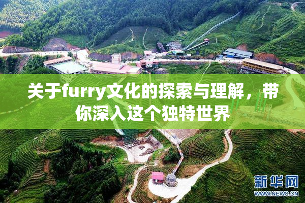 关于furry文化的探索与理解，带你深入这个独特世界