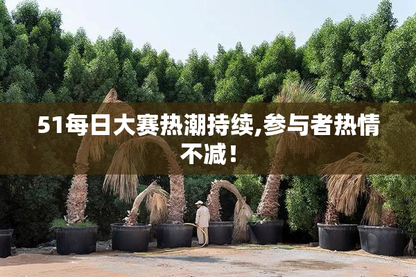 51每日大赛热潮持续,参与者热情不减！